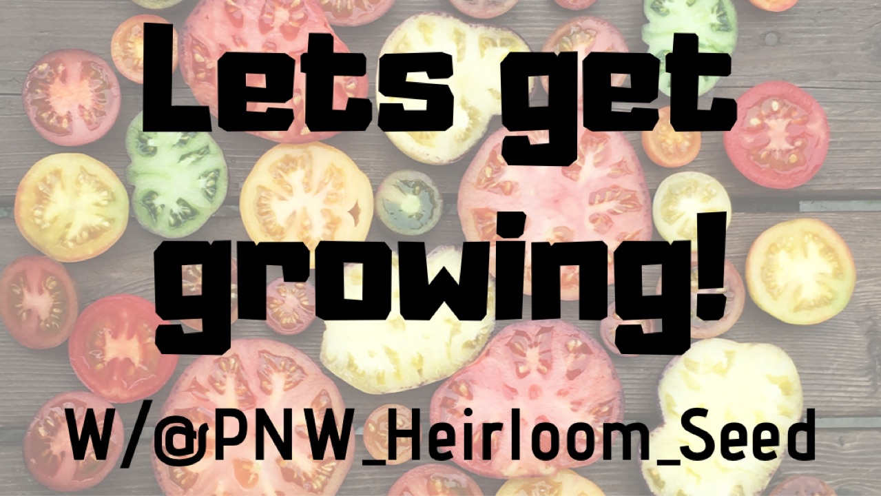 the latest from Getting Seedy with @ PNW Heirloom Seed on Amazon Live