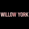 Willow York