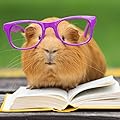 Wise Future Books