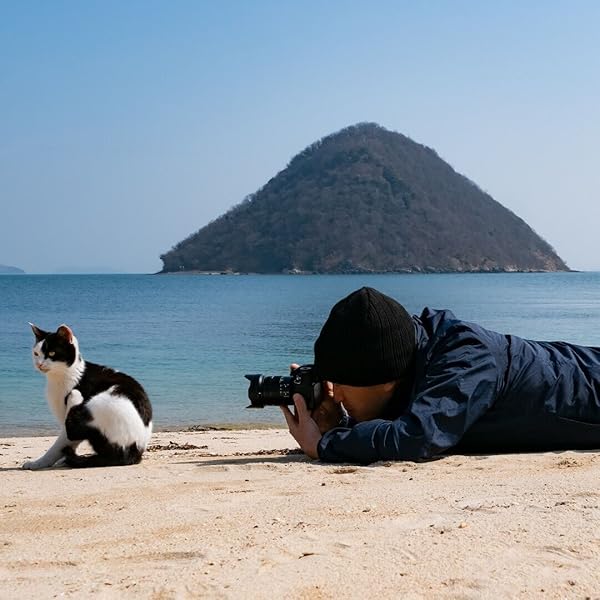 Amazon Co Jp 限定 22 なかよしすぎる島猫カレンダー 特典 2種もらえる かわいい島猫のスマホ壁紙 なかよしすぎる島猫 画像データ配信 カレンダー Simabossneko Simabossneko 本 通販 Amazon