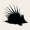 Filibooks Translation