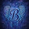 Buntingbirdtn