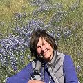 Susan Shillinglaw