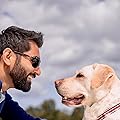 Dr Amit Patel