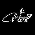 Calideya Fox
