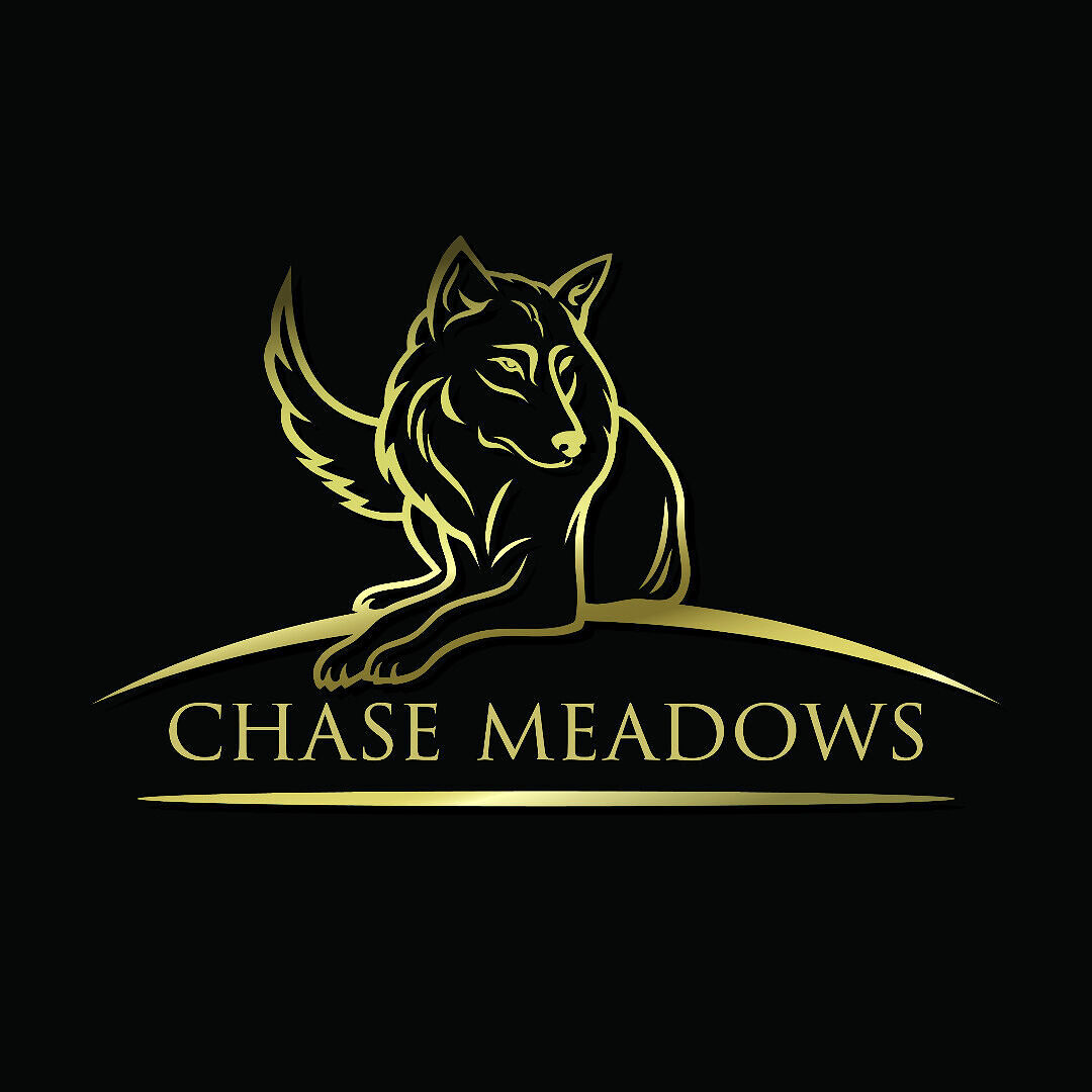 Chase Meadows Audio Books, Best Sellers, Author Bio