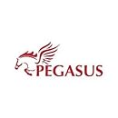 Pegasus