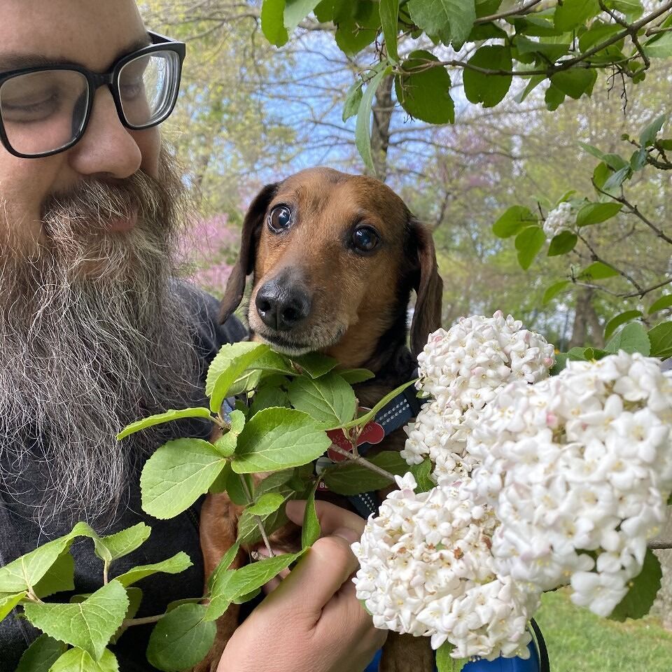 Paul Allor Audio Books, Best Sellers, Author Bio