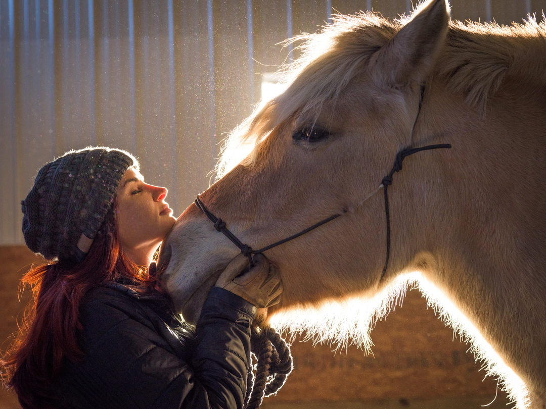 Amazon.com: Cara Whitney: books, biography, latest update, image size:1080x810