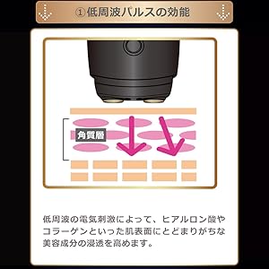 美顔器 顔筋 複合 多機能美顔器 小顔 表情筋 浸透率 The Beautools FacePump Premium メッキ加工 光美容 充電式 LED 24K純金 保湿 フェイスポンプ EMS 美顔機 微電流