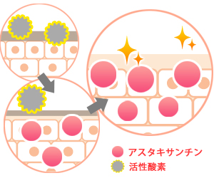 「ネイチャーメイド アスタキサンチン」の画像検索結果