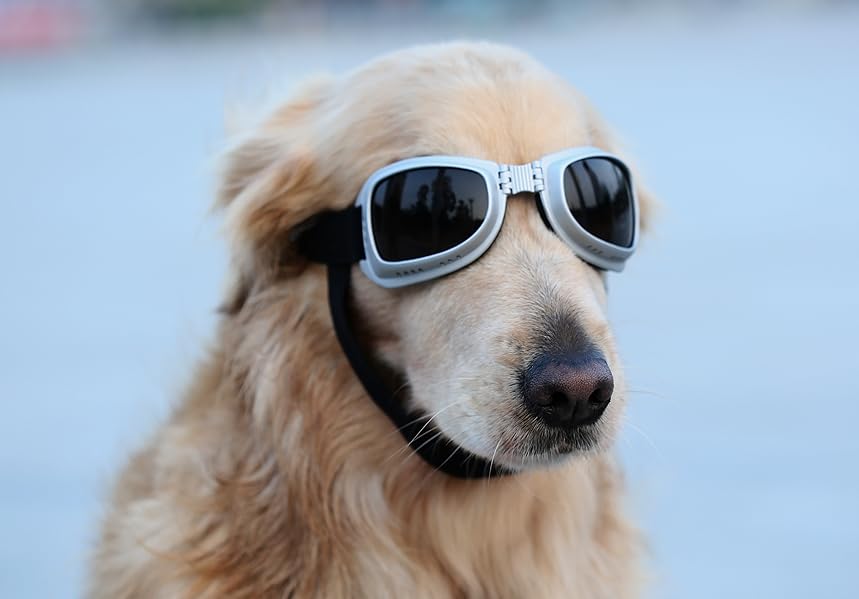 PETLESO® Large Dog Goggles Sunglasses UV Goggles Goggles Golden Retriever
