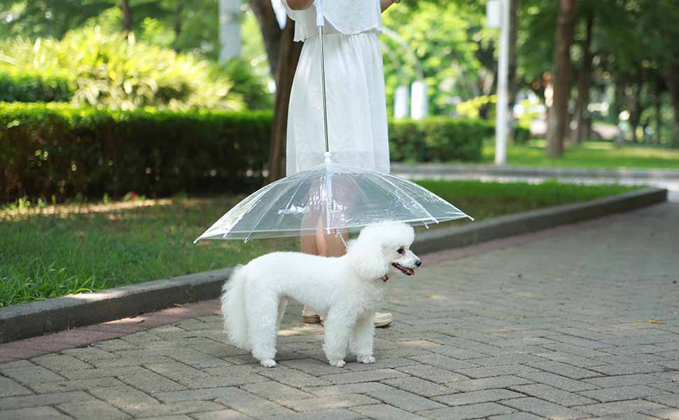 LESYPET Pet Umbrella Dog Umbrella With Leash, Fits 20" Pet