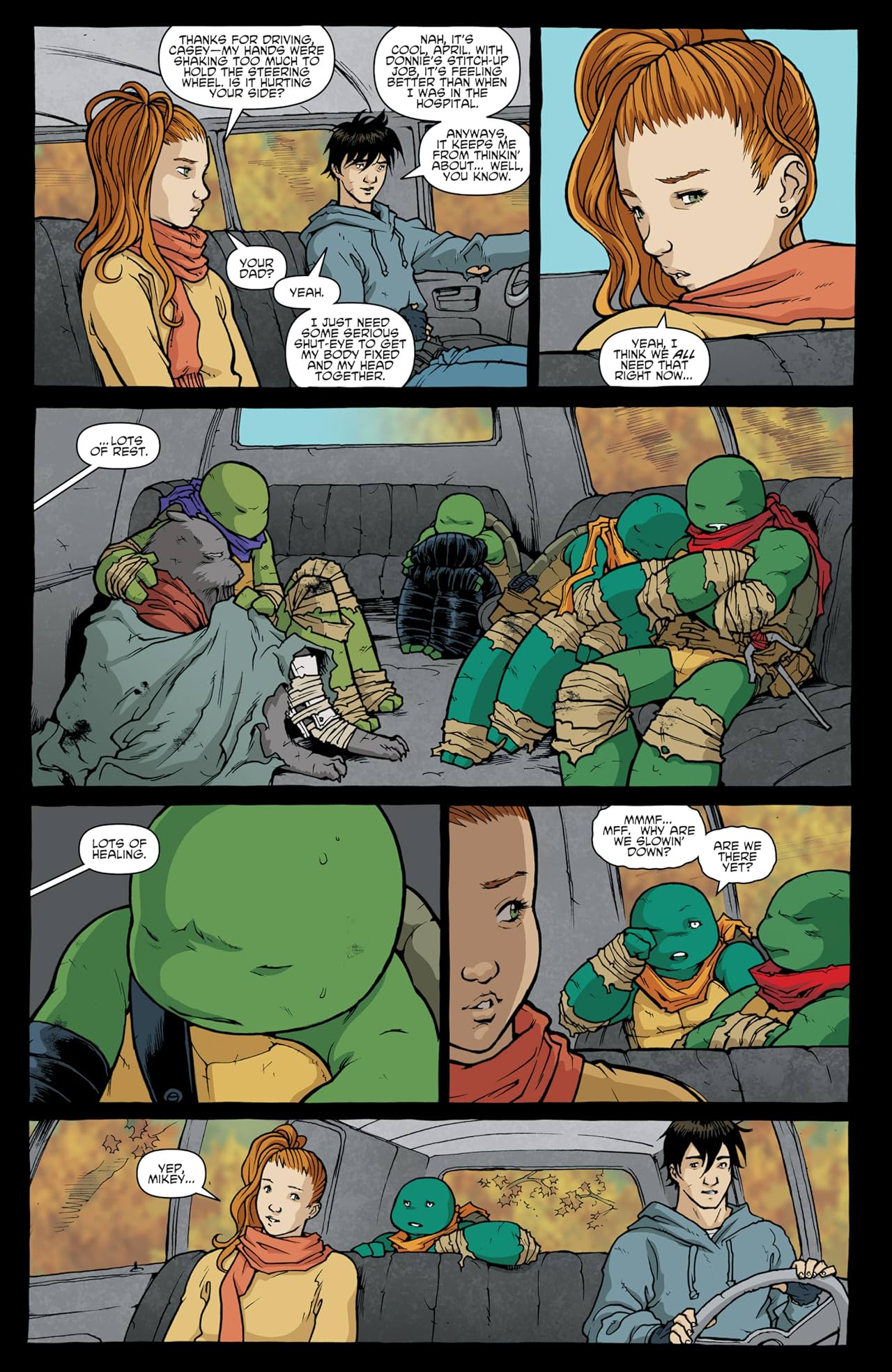 Teenage Mutant Ninja Turtles Vol. 8: Northampton