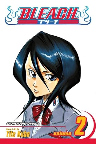 Bleach Vol. 2