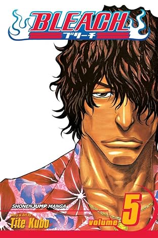 Bleach Vol. 5