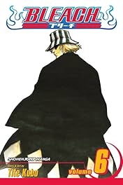 Bleach Vol. 6