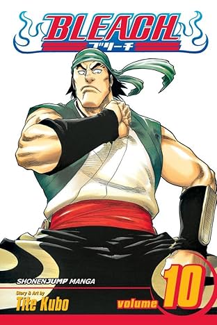 Bleach Vol. 10