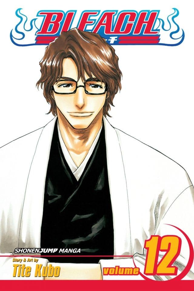 Bleach Vol. 12