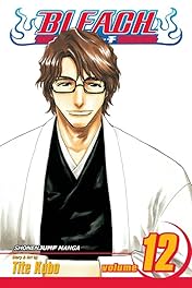 Bleach Vol. 12