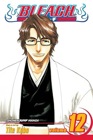 Bleach Vol. 12