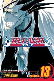 Bleach Vol. 13