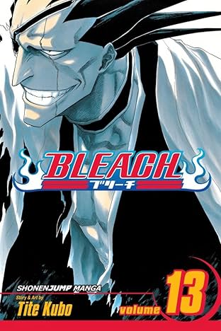 Bleach Vol. 13