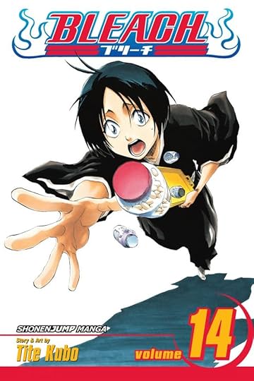 Bleach Vol. 14