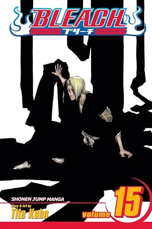Bleach Vol. 15