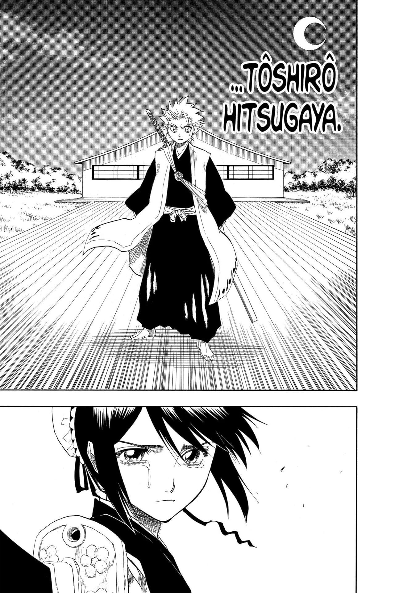 Bleach Vol. 16