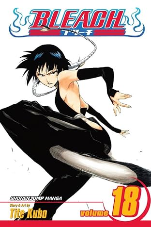 Bleach Vol. 18