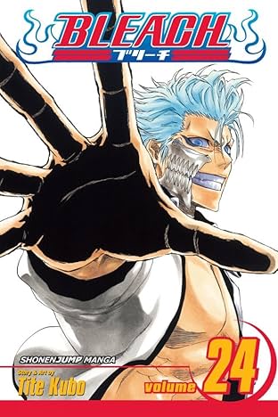 Bleach Vol. 24