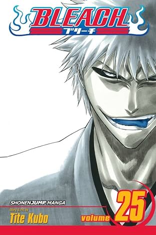 Bleach Vol. 25