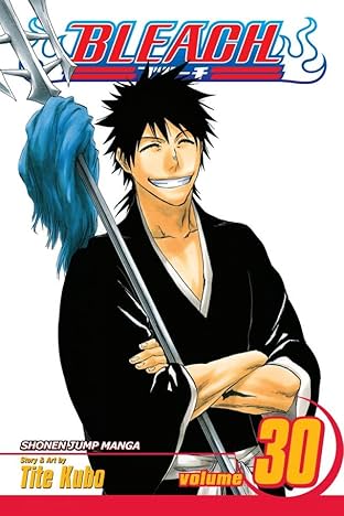 Bleach Vol. 30