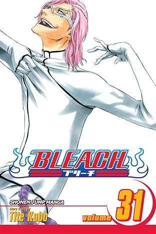 Bleach Vol. 31
