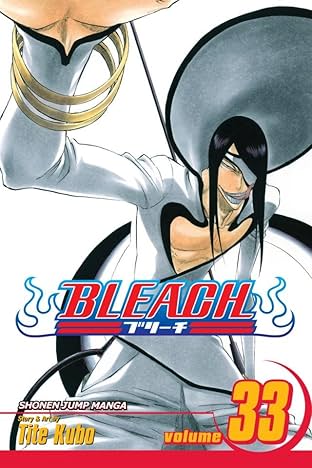 Bleach Vol. 33
