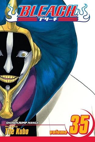 Bleach Vol. 35