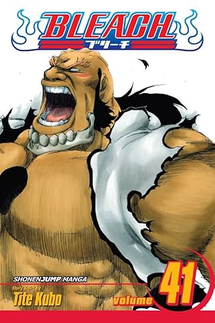 Bleach Vol. 41