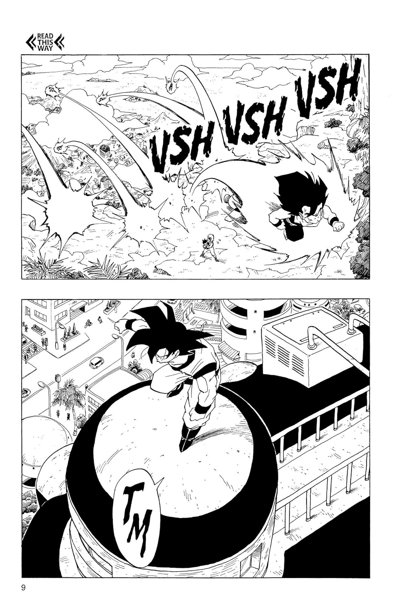 Dragon Ball Z Vol. 13