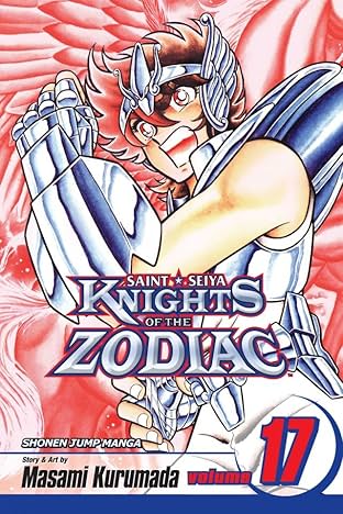 Knights of the Zodiac (Saint Seiya) Vol. 17