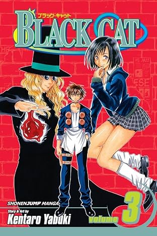 Black Cat Vol. 3