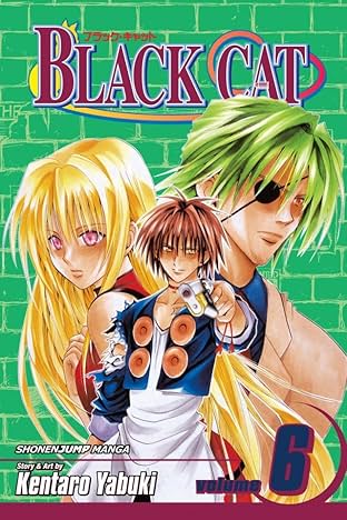 Black Cat Vol. 6