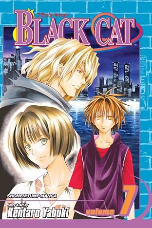 Black Cat Vol. 7