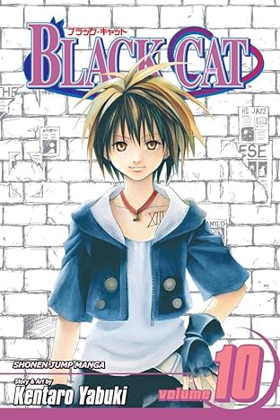 Black Cat Vol. 10