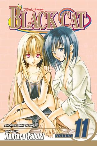 Black Cat Vol. 11