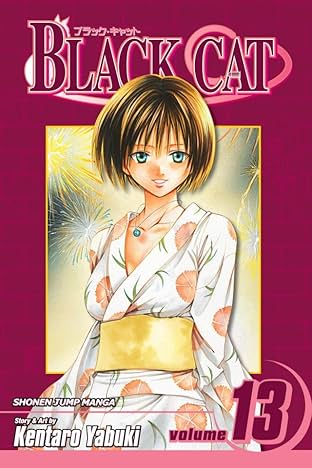 Black Cat Vol. 13
