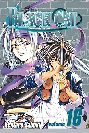 Black Cat Vol. 16