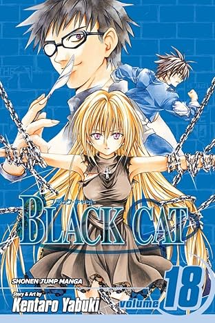 Black Cat Vol. 18