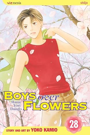 Boys Over Flowers Vol. 28