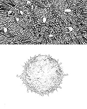 Dream Life Vol. 1: A Late Coming of Age